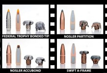 mühimmat, tüfek mermisi