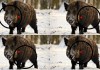 parallax free nedir, paralaks nedir,parallax free ne demek
