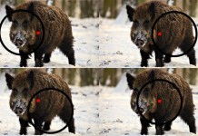 parallax free nedir, paralaks nedir,parallax free ne demek