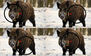 parallax free nedir, paralaks nedir,parallax free ne demek